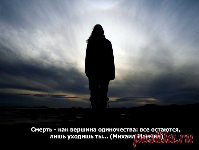 Афоризмы в картинках | Авторские Афоризмы | Яндекс Дзен