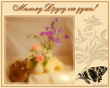 Открытки для тебя... (2) с кодами