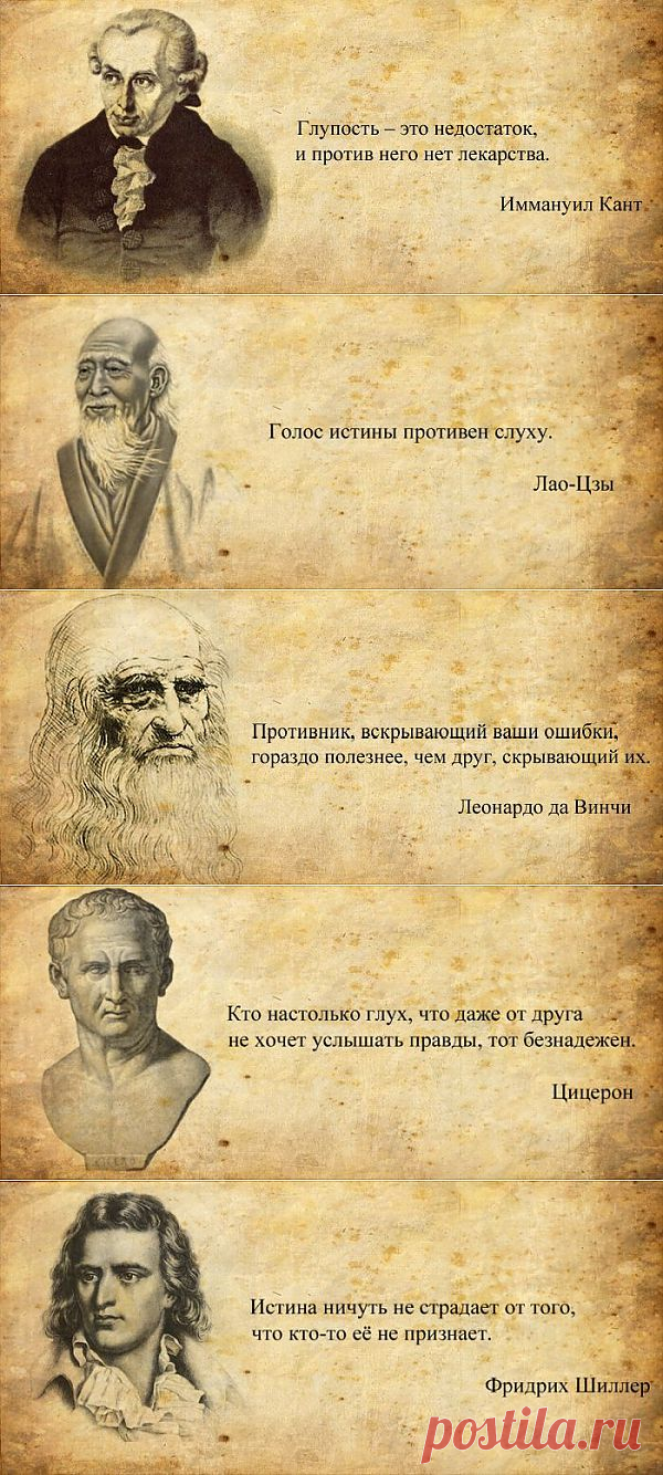 Пин содержит это изображение: мудрые мысли.