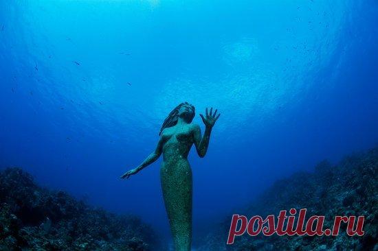 Удивительные статуи со всего мира, которые можно увидеть только под водой | Все о туризме и отдыхе