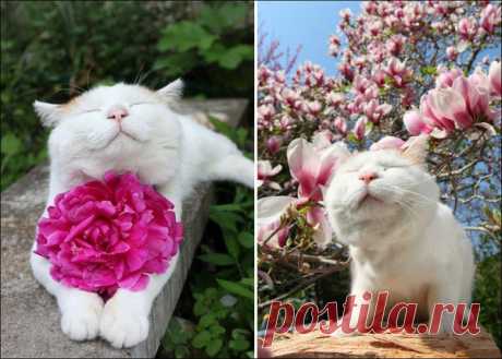 Мой Мир@Mail.Ru