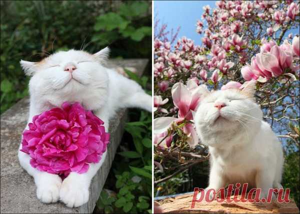 Мой Мир@Mail.Ru