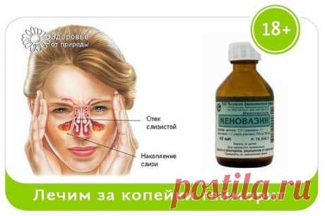 (6) Одноклассники