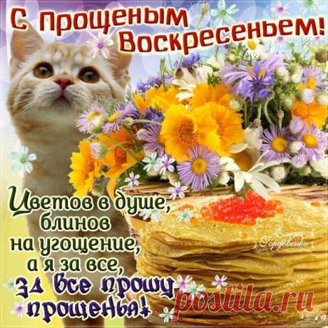С Прощёным Воскресеньем!
Прости за всё меня,
Чем, вольно иль невольно,
Обидела тебя!