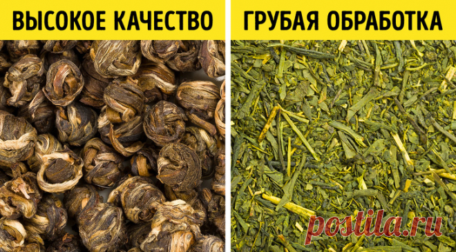 Исчерпывающий гид по чаю для тех, кому не все равно, что мы пьем на самом деле