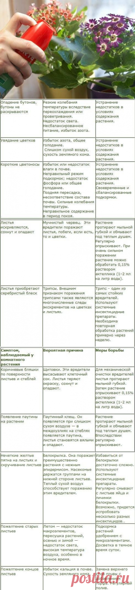 (99) Одноклассники