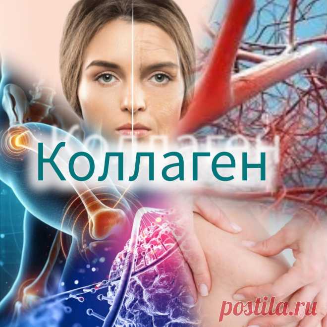 Зачем ты нужен, Коллаген?

💪 Коллаген — главный строительный материал для тканей организма, его польза многогранна:

1. ✨ Здоровье кожи  
   - Улучшает эластичность и увлажненность 💧, предотвращает морщины и дряблость 🙅‍♀️.  
   - Замедляет процессы старения кожи 🌸, делая её более упругой и молодой.

2. 🦴 Крепость суставов и костей  
   - Укрепляет хрящевую ткань 🛡️, снижает боли при артрите 🤕, улучшает подвижность 🤸‍♂️.  
   - Поддерживает прочность костей 🦵,