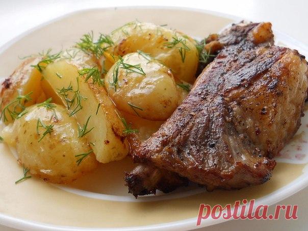 Молодой картофель со свиным рёбрышком. 

Ирина Логунова ( Кропива) 

Купила ну очень удачные рёбрышки и быстренько приготовила. Рёбрышки разрезала на порции, посолила, поперчила (смесь перцев) . Очистила молодой картофель и сварила до готовности. Пока картофель варился рёбрышки обжарила на гриль сковороде. Затем взяла противень, смазала смальцем ( жиром ), выложила картофель, сверху рёбрышки , притрусила мелко порезанным чесночком и полила сверху выделившимся соком после ж...
