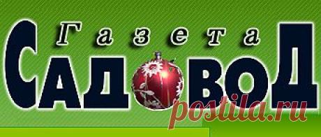 ЦВЕТОЧНЫЕ ХИТРОСТИ (ХОТИТЕ ВЕРЬТЕ, ХОТИТЕ НЕТ) » &quot;Газета садовод&quot; - сетевое издание