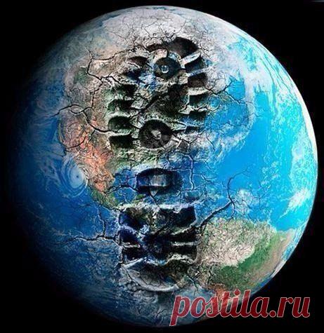 Что уничтожил человек на планете Земля за последние 50 лет
