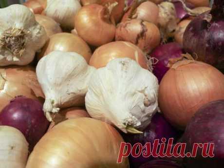Не охлаждать! 12 продуктов, которые мы всё время хранили неправильно