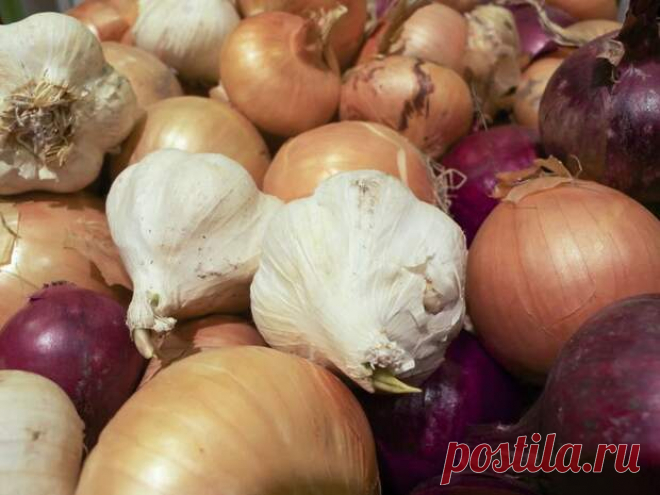 Не охлаждать! 12 продуктов, которые мы всё время хранили неправильно