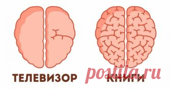 9 поразительных примеров того, как мы сами влияем на наш мозг Пожалуй, мозг — самый загадочный орган нашего организма. Ученые постоянно узнают новые факты о его работе, но загадок по-прежнему много. AdMe.ru решил познакомить вас с наиболее яркими открытиями последних лет в области исследования мозга, которые вас наверняка удивят.