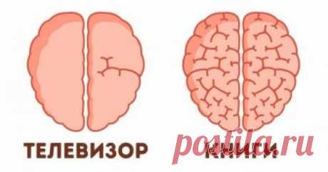 9 поразительных примеров того, как мы сами влияем на наш мозг Пожалуй, мозг — самый загадочный орган нашего организма. Ученые постоянно узнают новые факты о его работе, но загадок по-прежнему много. AdMe.ru решил познакомить вас с наиболее яркими открытиями последних лет в области исследования мозга, которые вас наверняка удивят.