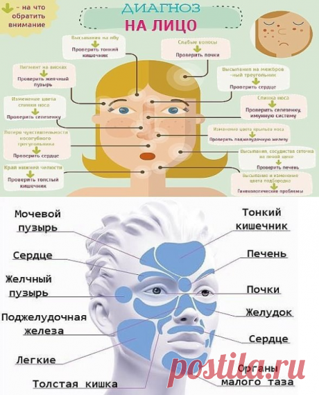 (54) Одноклассники