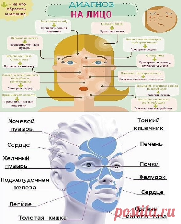 (54) Одноклассники