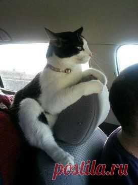 (60) Одноклассники