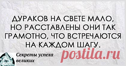 Дураков на свете мало