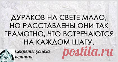 Дураков на свете мало