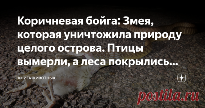 Коричневая бойга: Змея, которая уничтожила природу целого острова. Птицы вымерли, а леса покрылись паутиной На столе детектива Мангуста лежало новое дело. Он бросил взгляд на полученную папку: «Бойня на Гуаме» — злобно сверкнуло название. Однако как следует приглядевшись, Мангуст разобрал заголовок правильно — «Бойга на Гуаме». Звучит уже не так страшно, но недоброе предчувствие пробежало склизким холодком по мохнатой спине. Такого формата папки выдаются только на самых от...