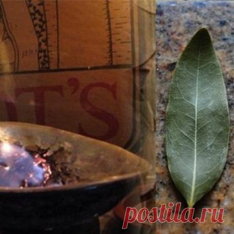 Действия в Польше поразили Москву: Россия выступила с резким заявлением в адрес Варшавы