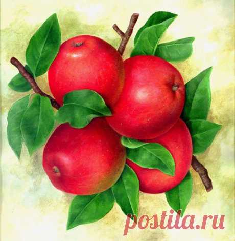 Скрапбукинг