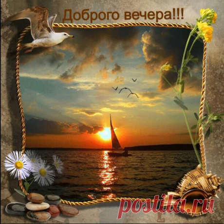 Павел Трофименко