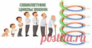 Семилетние циклы жизни человека и их влияние Всем мы приходим на Землю, чтобы совершенствоваться и учиться любить. И каждому из нас предстоит пройти важные жизненные периоды — так называемые семилетние циклы, во время которых мы должны приобрести определённый опыт и перейти на более высокий уровень духовного и душевного развития. Семилетние циклы жизни человека. От 0 до 7 лет. Сильная связь с матерью. Горизонтальное познание мира. Создание чувств.