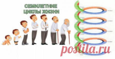Семилетние циклы жизни человека и их влияние Всем мы приходим на Землю, чтобы совершенствоваться и учиться любить. И каждому из нас предстоит пройти важные жизненные периоды — так называемые семилетние циклы, во время которых мы должны приобрести определённый опыт и перейти на более высокий уровень духовного и душевного развития. Семилетние циклы жизни человека. От 0 до 7 лет. Сильная связь с матерью. Горизонтальное познание мира. Создание чувств.