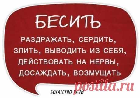 (3) Кирилл Лейцихович