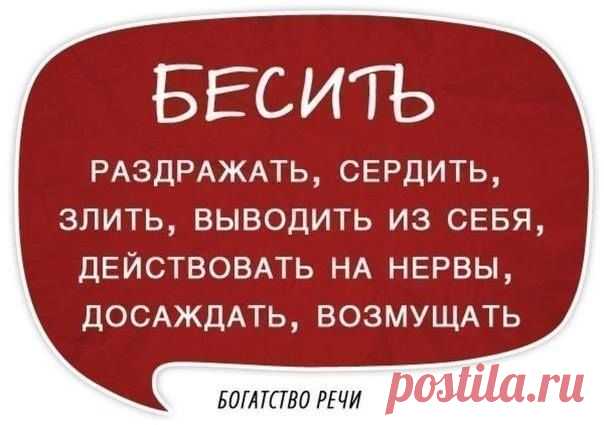 (3) Кирилл Лейцихович