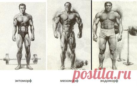 Типы фигур у мужчин