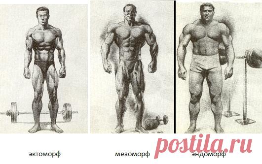 Типы фигур у мужчин