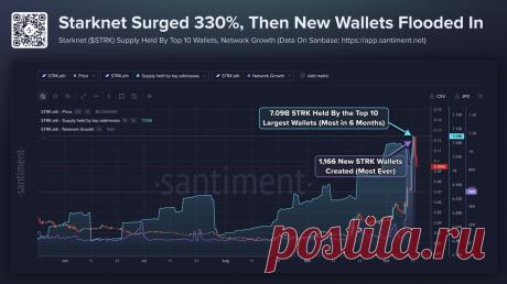 🚀 Starknet вырос на 330% за месяц https://kriptanovosti.ru/news/starknet_vyros_na_330_za_mesjac/2026-10-13-1144