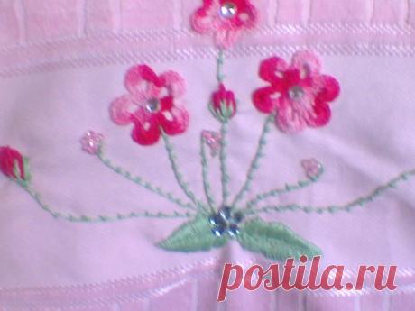 brazilian ambroidery