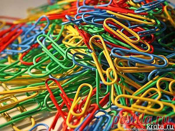 скрепки