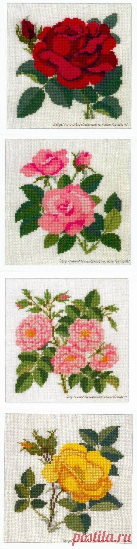 Вышивка крестом...розочки...