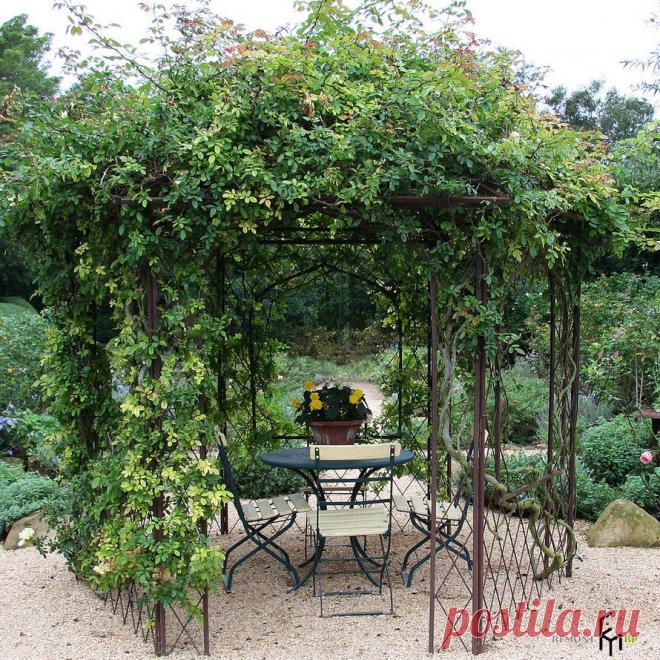 100 идей дизайна для садовой беседки: проекты дачных беседок на фото