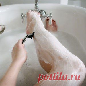 Идеальная Хозяюшка