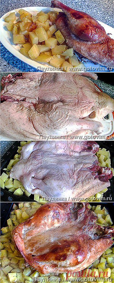 Жареная утка . Фото-рецепт
