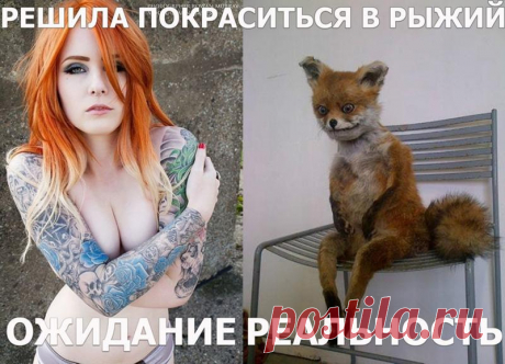 Зачем девушки красят волосы в момент расставания, какой скрытый смысл несёт это действие?
В жизни любой девушки, женщины, девочки наступает момент, когда она меняет причеку, или меняет цвет волос В этом практически все женщины одинаковы. Даже те, кто отращивает и сохраняет свою естественность, иногда устают от однообразия Наивно полагать, что сие действие, явно кричащее о себе, не информативно....
Читай пост далее на сайте. Жми ⏫ссылку выше