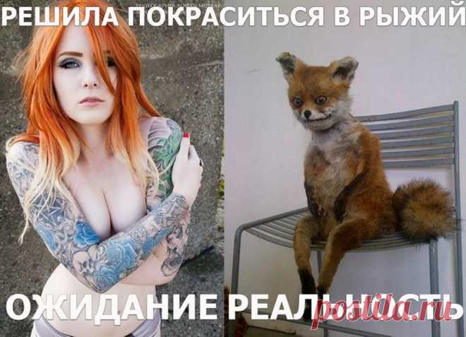 Зачем девушки красят волосы в момент расставания, какой скрытый смысл несёт это действие?
В жизни любой девушки, женщины, девочки наступает момент, когда она меняет причеку, или меняет цвет волос В этом практически все женщины одинаковы. Даже те, кто отращивает и сохраняет свою естественность, иногда устают от однообразия Наивно полагать, что сие действие, явно кричащее о себе, не информативно....
Читай пост далее на сайте. Жми ⏫ссылку выше