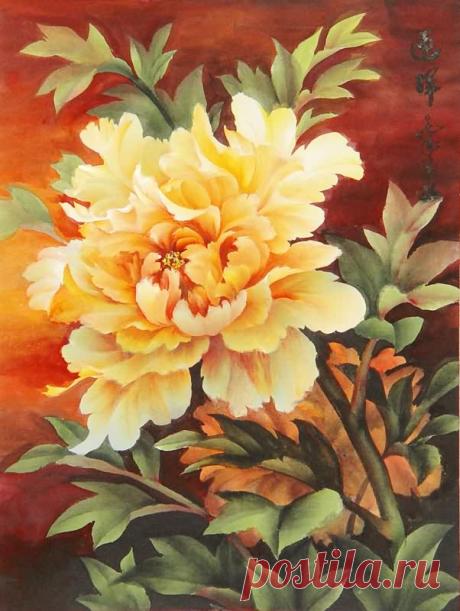 Wan An