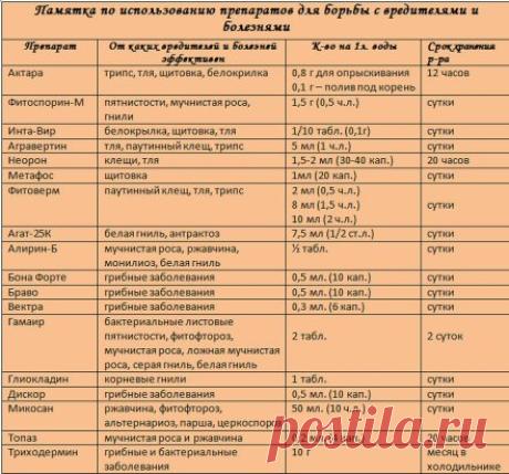 Сохрани себе! Поделись с друзьями!