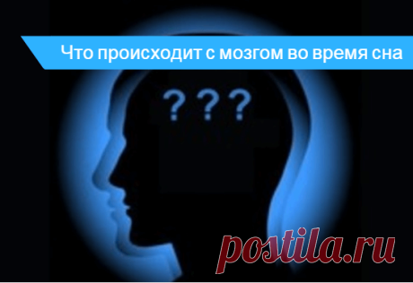 Только ли отдыхает мозг во сне – что происходит Когда снятся сны, мозг отдыхает или работает, мнение специалистов. Какой участок головного мозга отвечает за сон.