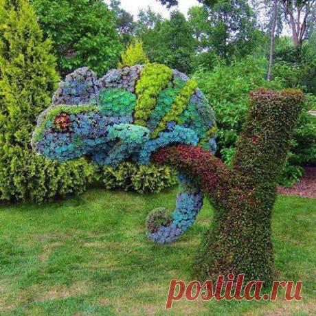 (101) Fantanima