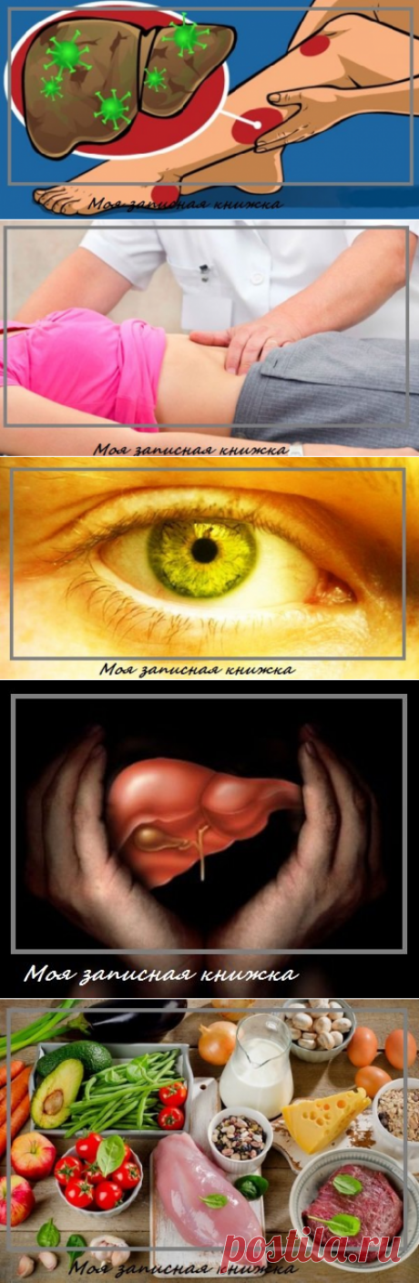 Вы не помните когда чистили печень? А она переполнена токсинами и 9 признаков это подтверждают | моя записная книжка | Яндекс Дзен