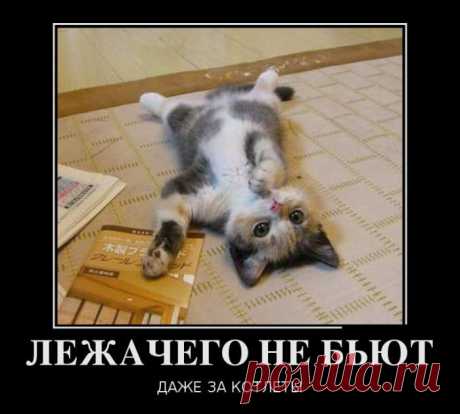 Прикольные демотиваторы - Ржака :-)