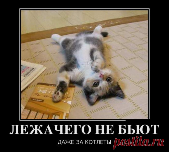 Прикольные демотиваторы - Ржака :-)