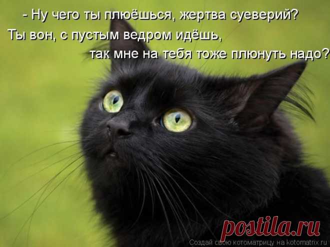 mabas57 — «котоматрица 40.jpg» на Яндекс.Фотках